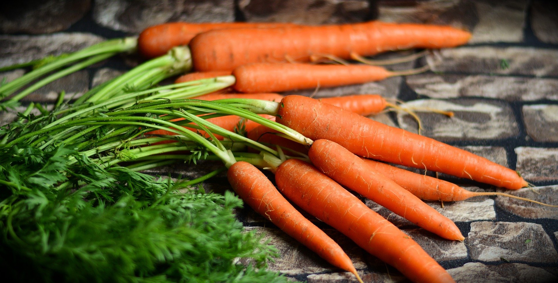 LA VITAMINE A ET LES CAROTÉNOÏDES, PAS JUSTE POUR LES LAPINS!